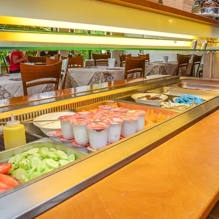 酒店 瑞尔酒店 西尔米奥奈